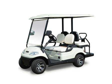 Xe điện sân golf LT-A627.2+2