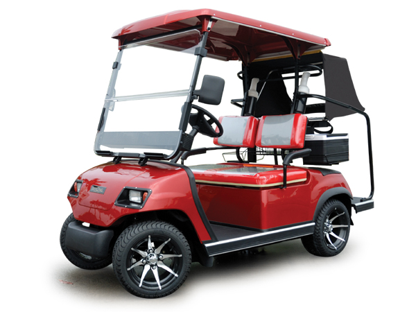 Xe điện sân Golf (2 chỗ -> 8 chỗ)